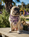 Poochie Scarf Artsadd