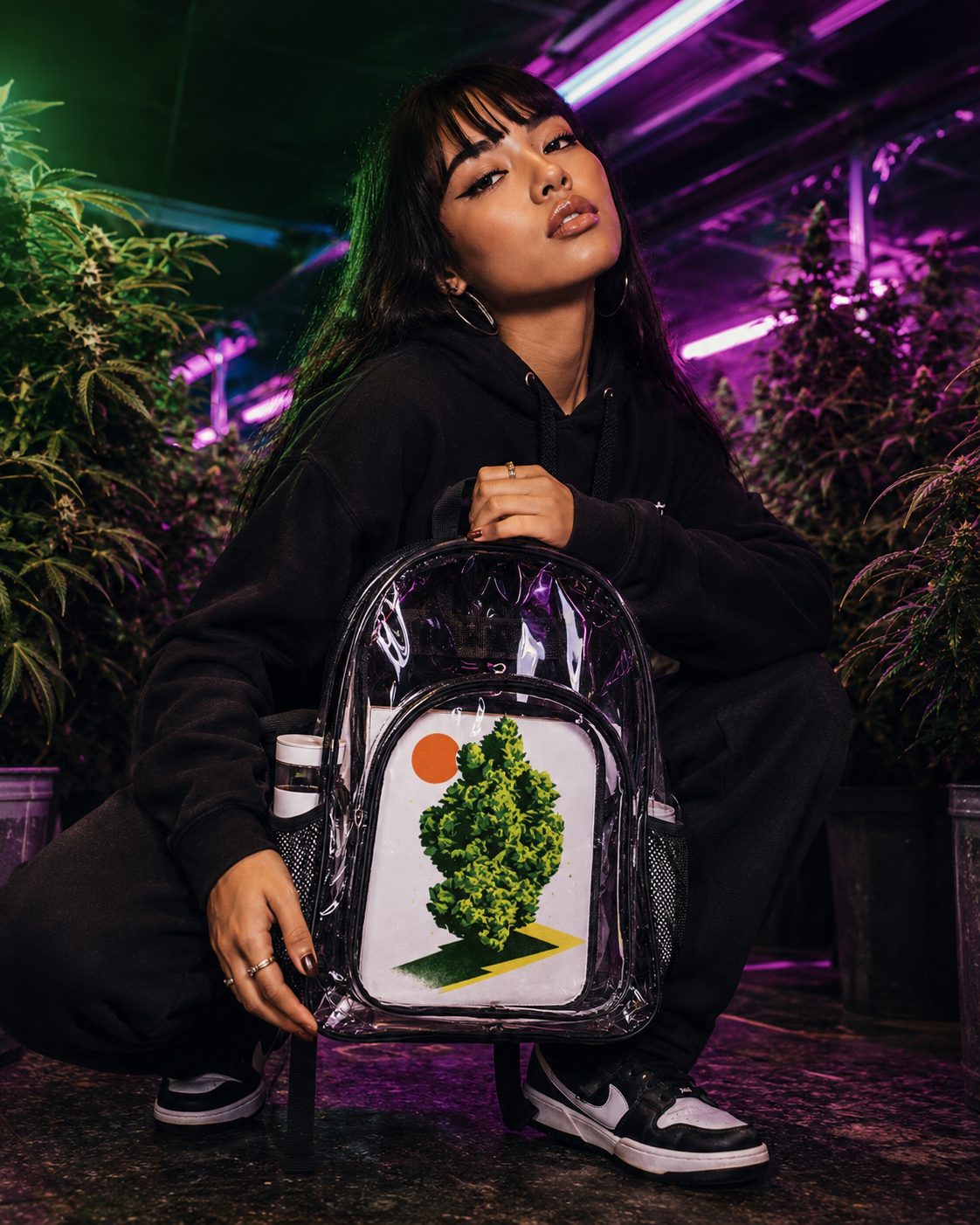 Nug Clear Backpack Artsadd