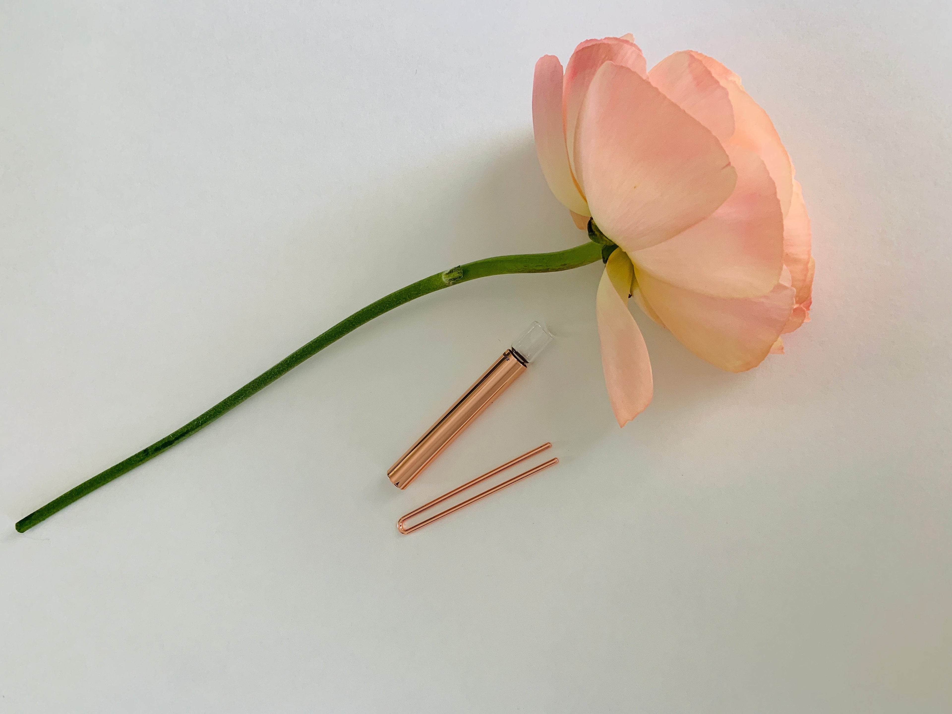 PLUMB ROACH CLIP Clip