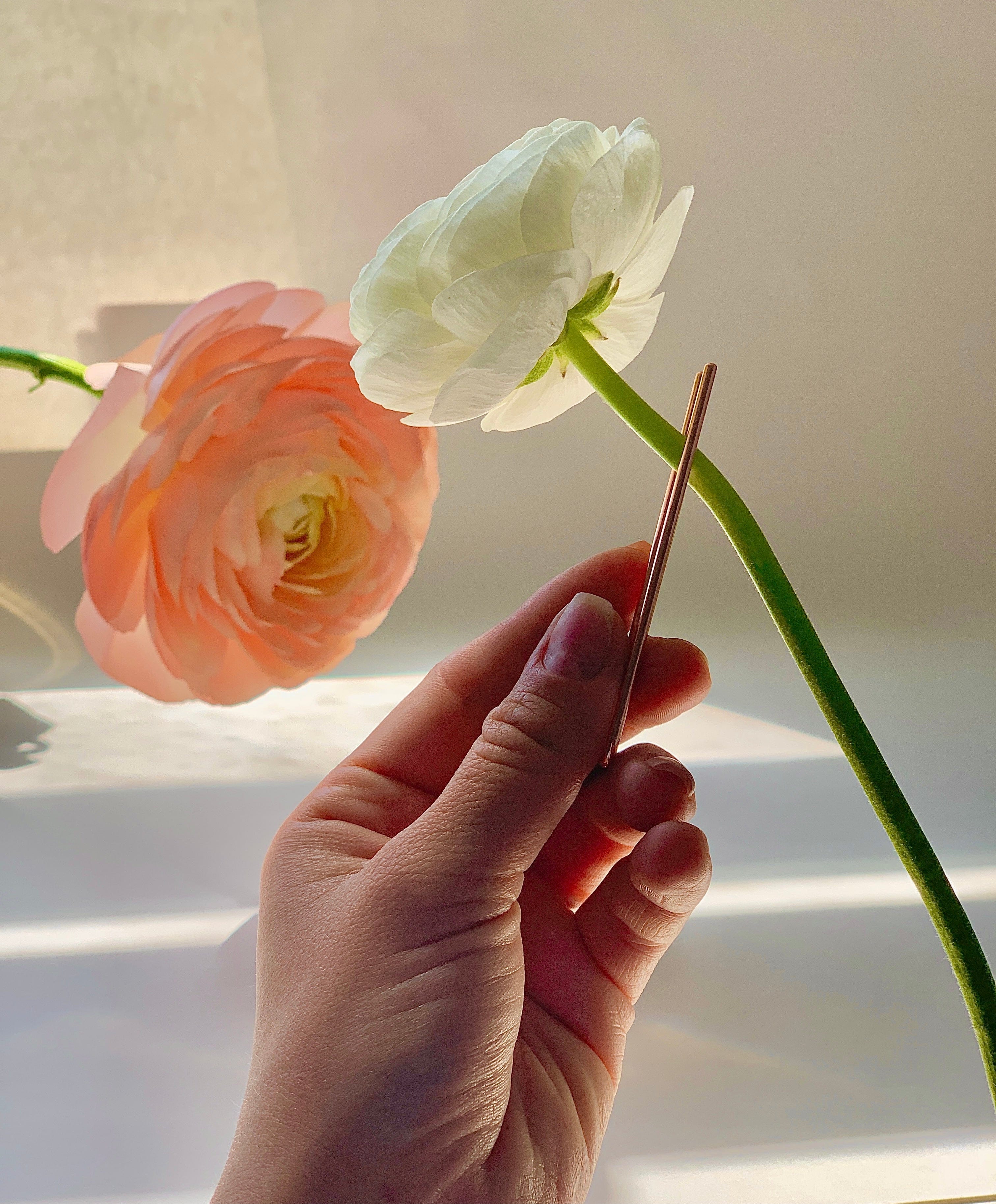 PLUMB ROACH CLIP Clip