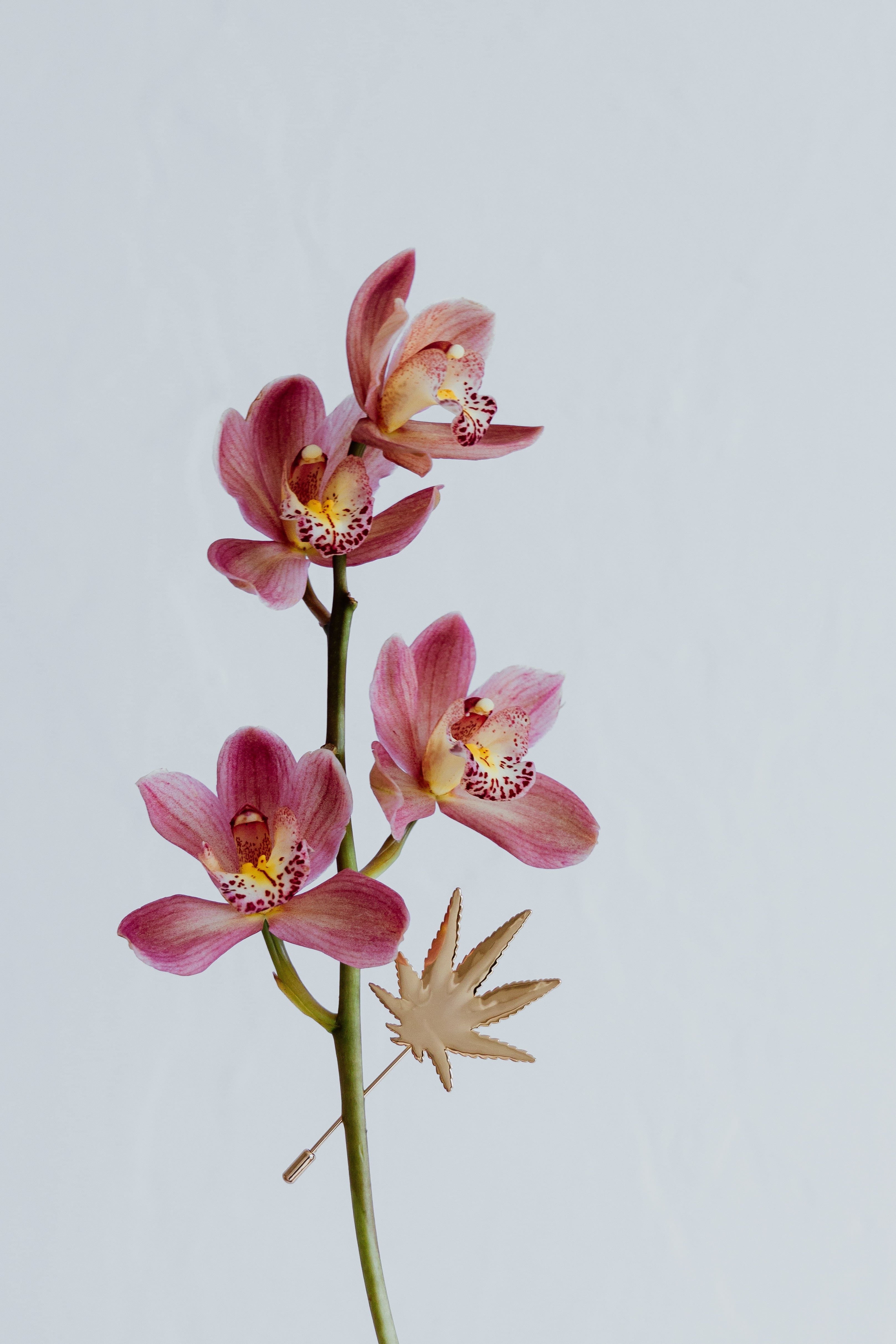 HER.B LEAF BROOCH/PIN Gold pin