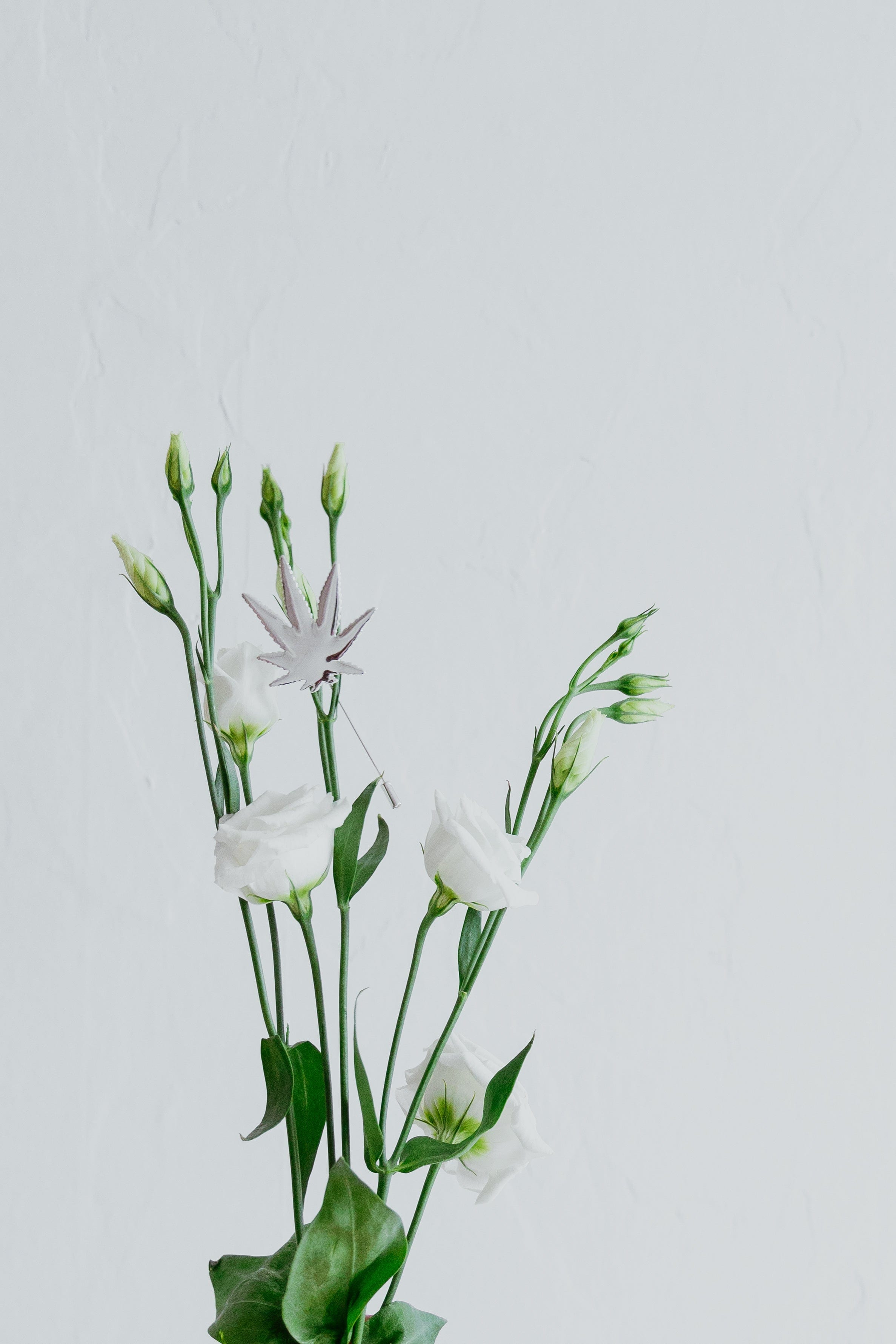 HER.B LEAF BROOCH/PIN Gold pin