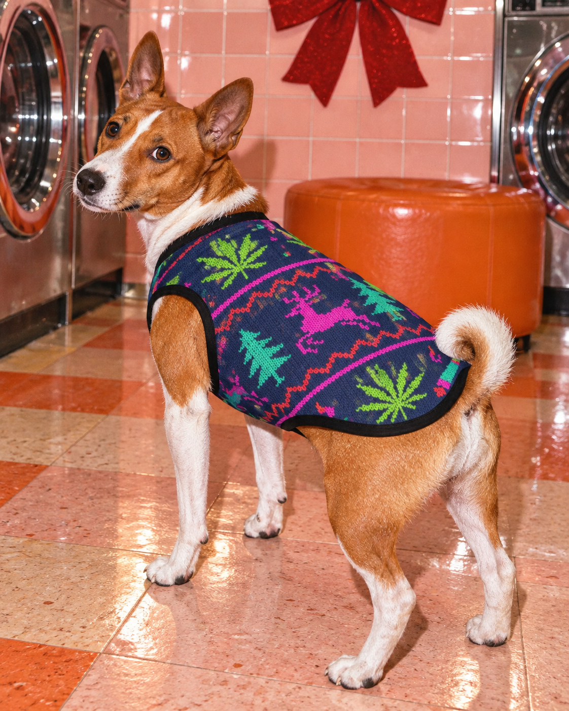 Size 2XL Neon X-Mas Dog Vest illustrated fit on a dog, showing festive print and black trim
