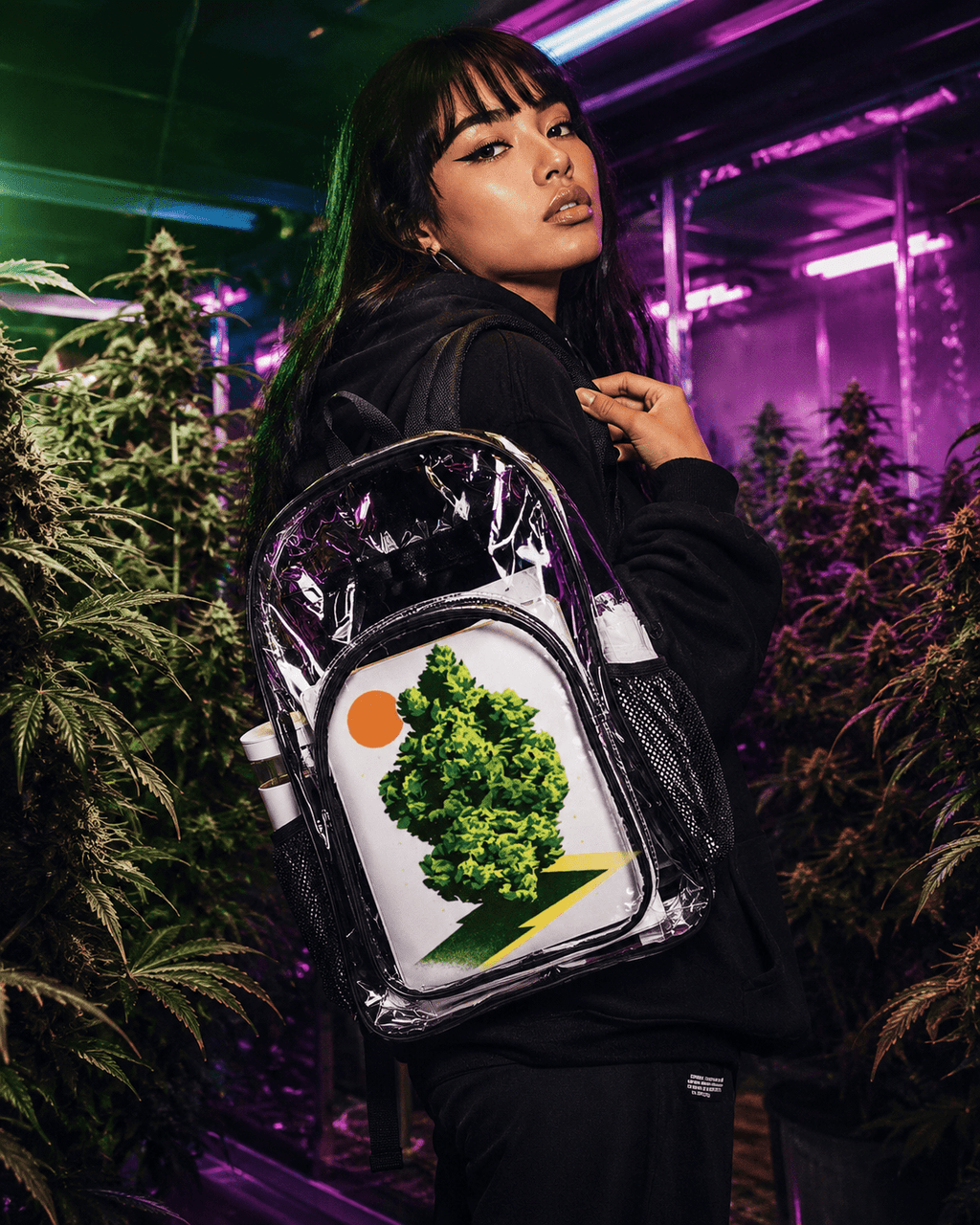 Nug Clear Backpack Artsadd