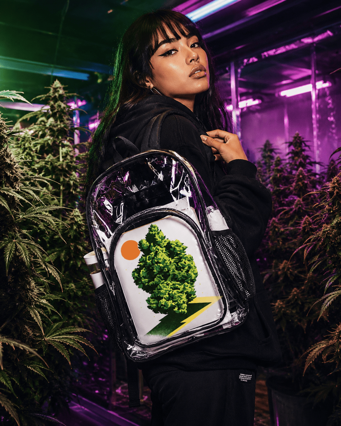 Nug Clear Backpack Artsadd
