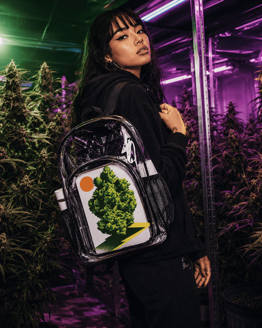 Nug Clear Backpack Artsadd