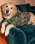 Nugs & Mistletoe green botanical dog hoodie on a golden dog reclining over a teal sofa arm. AI editorial illustration; props not included.