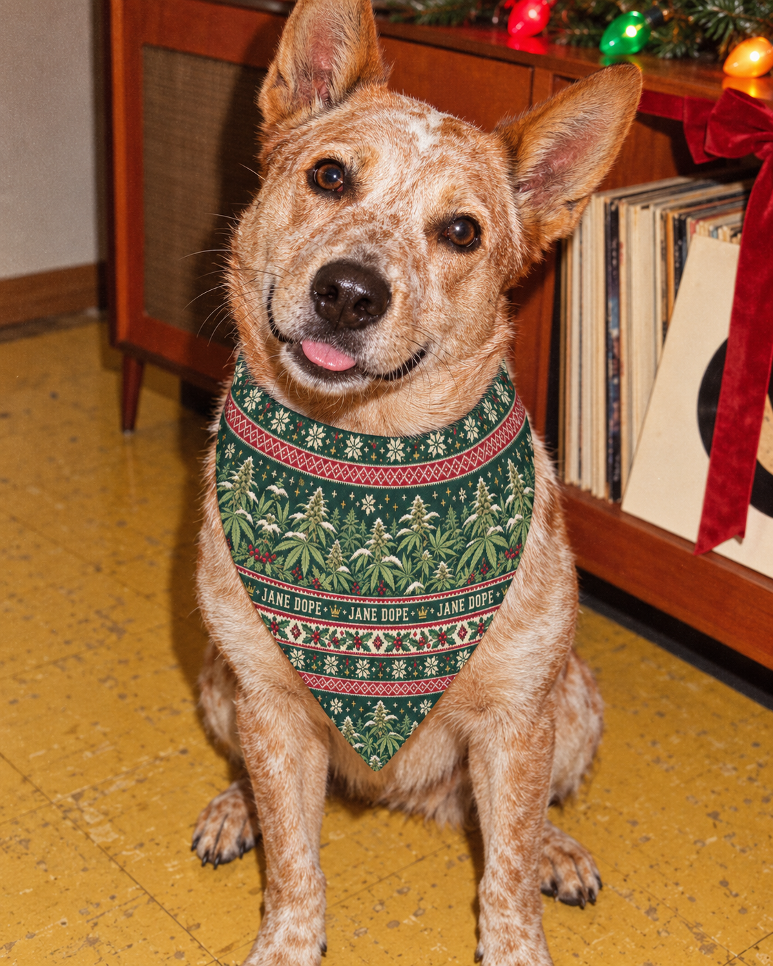 Nugs & Mistletoe Dog Scarf worn by a red cattle dog in a holiday record-shop portrait