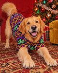 Cream dog in a playful bow wearing the black and neon Sleigh Smoke Repeat hoodie, showing the chest and short sleeves. AI editorial illustration; props not included.