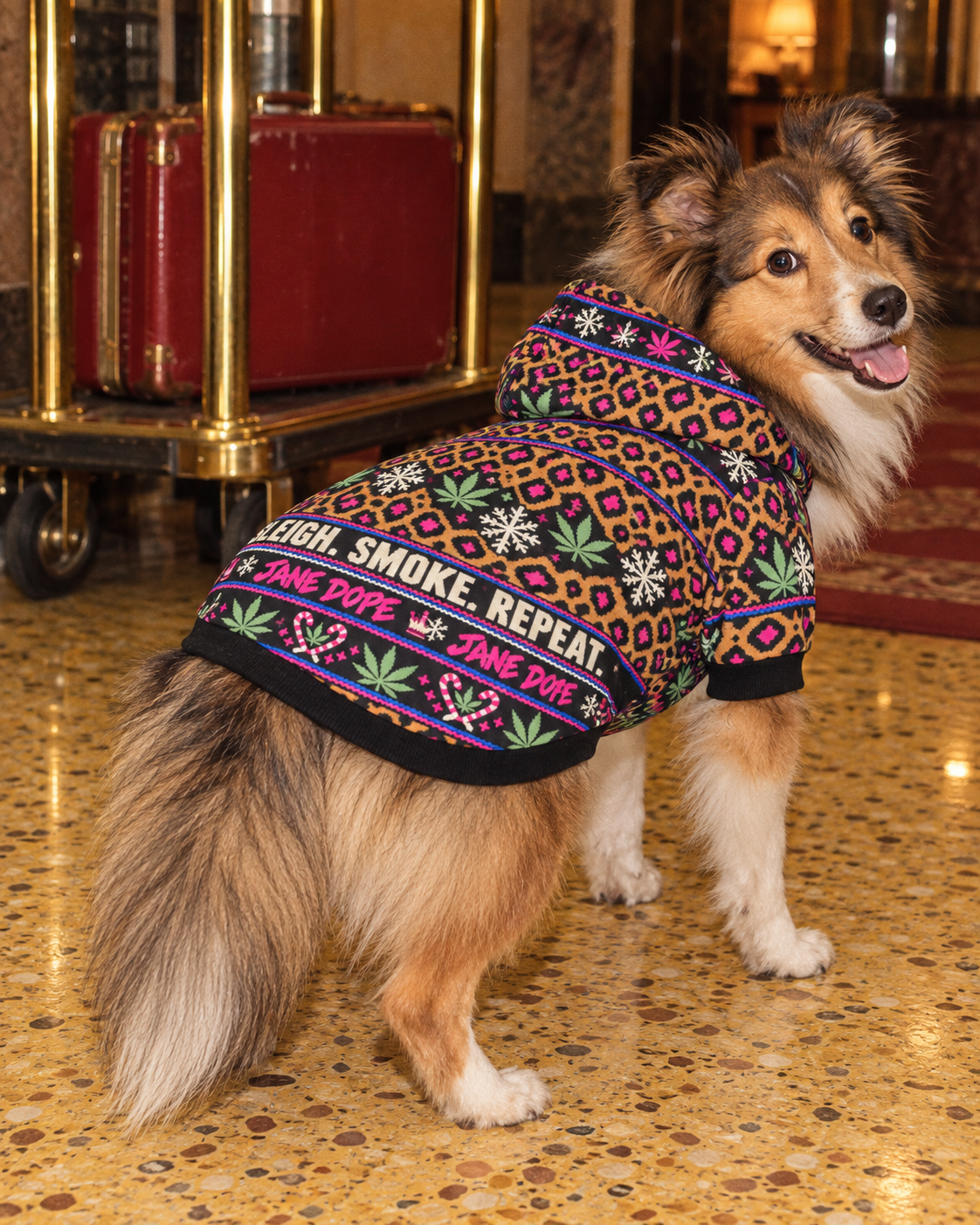 Sleigh. Smoke. Repeat Dog Hoodie XL variant in a retro holiday hotel editorial