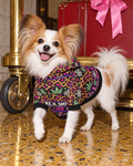 Sleigh. Smoke. Repeat Dog Hoodie XS variant in a retro holiday hotel editorial